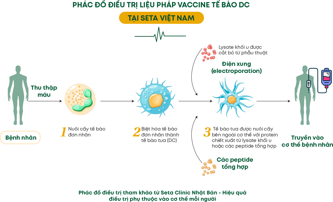 Vaccine DC Infographic phần 9